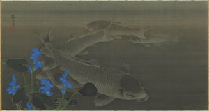 Karper, Edo-periode, 1787-1846